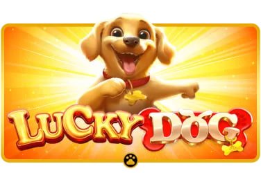 Người dùng truy cập bàn Live Casino 99vin trên điện thoại tại Việt Nam